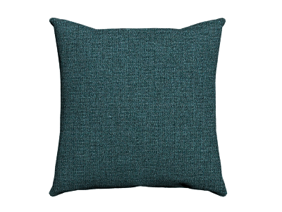 custom_cushion_66690