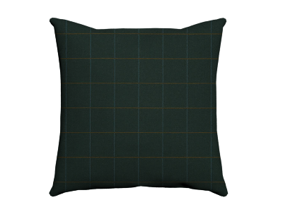 custom_cushion_80662