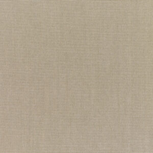 Canvas-Taupe_5461-0000.jpg